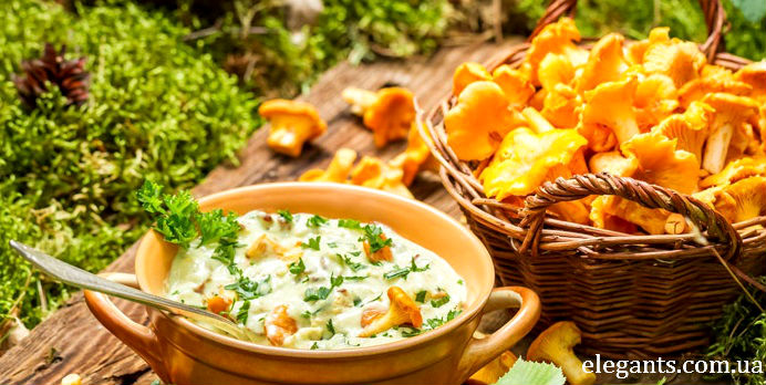 грибы,купить грибы,сушенные грибы,консервированые грибы,салат с грибами,рецепты с грибами,грибы фото,заказывайте гриба,купить онлайн белые грибы,курица с грибами,грибы в духовке,белые грибы,лисички,семена,семя,семю,купить семена,купить семян,семена почтой,арбуз,семена магазин,интернет семена,интернет семян,интернет магазин семян,куплю семена,каталог семена,каталог семян,опт,семена оптом